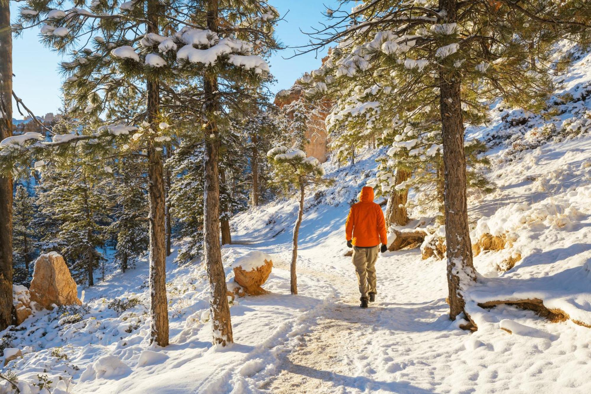 Charmant T3 Avec Vue Montagne Et Parking Privatif Font-Romeu-Odeillo-Via 외부 사진